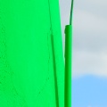 Green.jpg